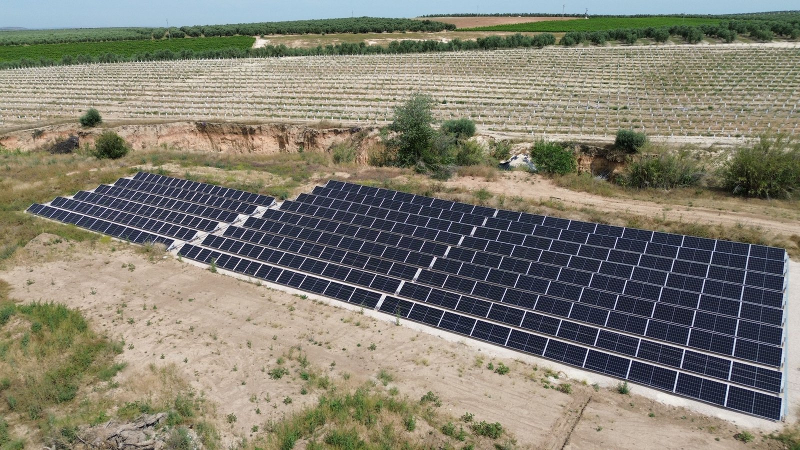 Autoconsumo agrario · Córdoba
