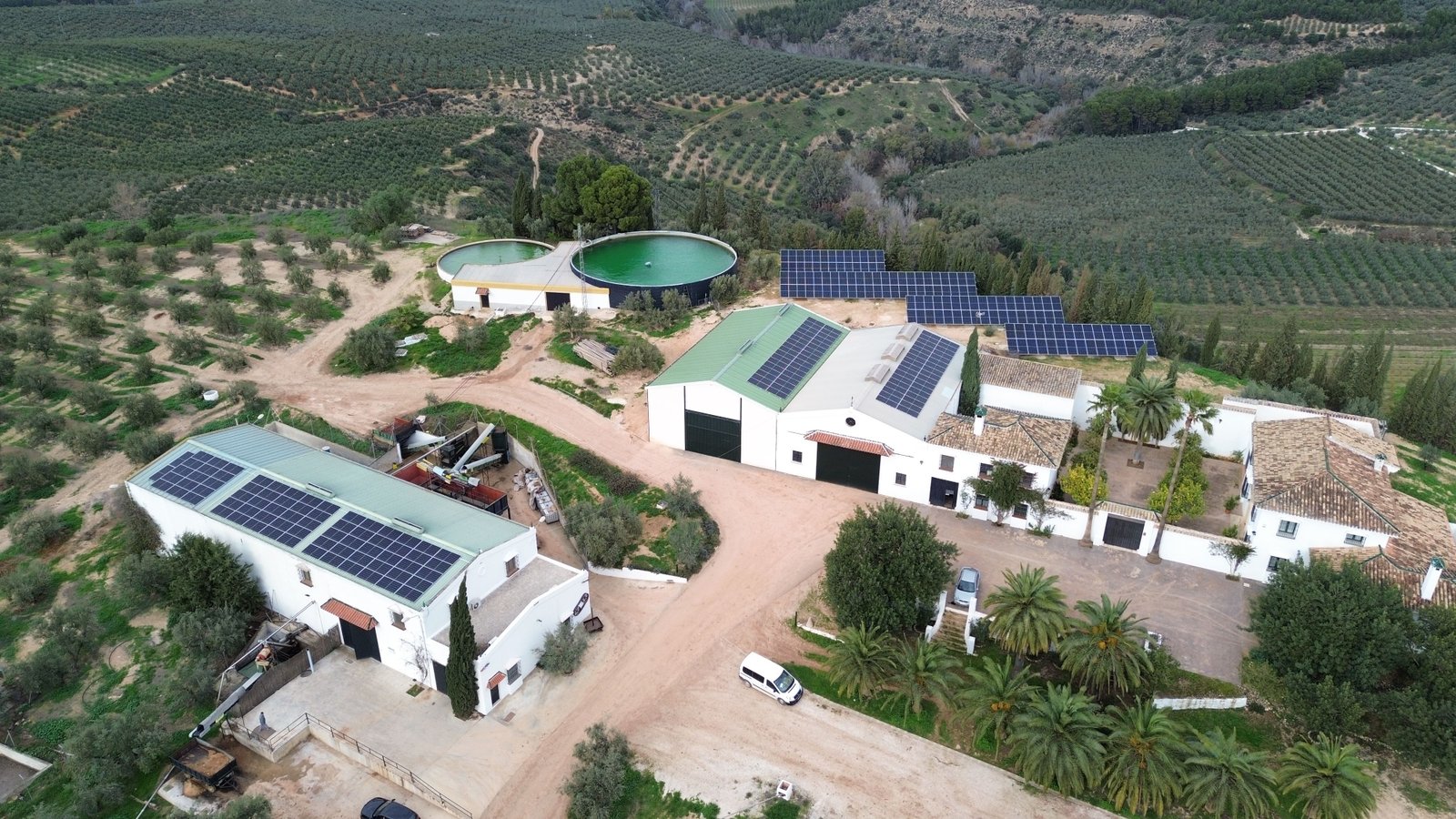 Autoconsumo agrario · Puente Genil (Córdoba)